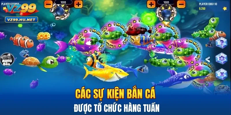 Các sự kiện bắn cá được tổ chức hàng tuần