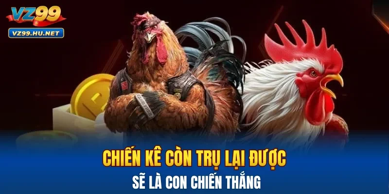 Chiến kê còn trụ lại được sẽ là con chiến thắng
