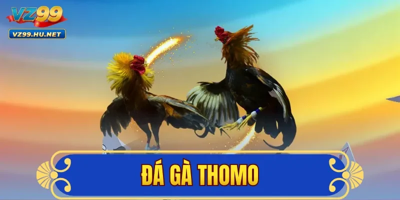 Đá Gà Thomo