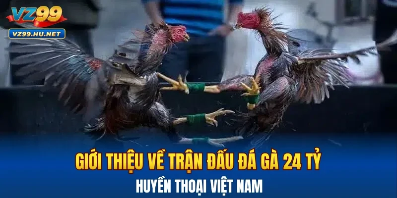 Giới thiệu về trận đấu đá gà 24 tỷ huyền thoại Việt Nam