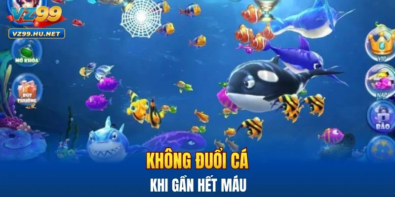 Không “đuổi cá” khi gần hết máu